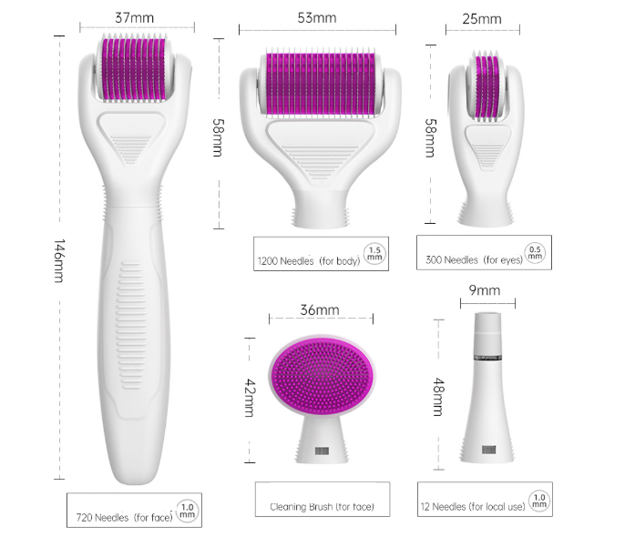 Facial Micro needling Kit